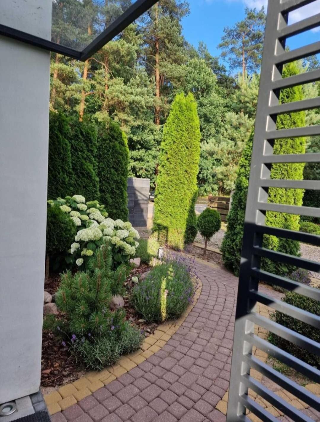 Apartamenty Pod Sosnami Ostroda Miedzylesie 6Os Δωμάτιο φωτογραφία
